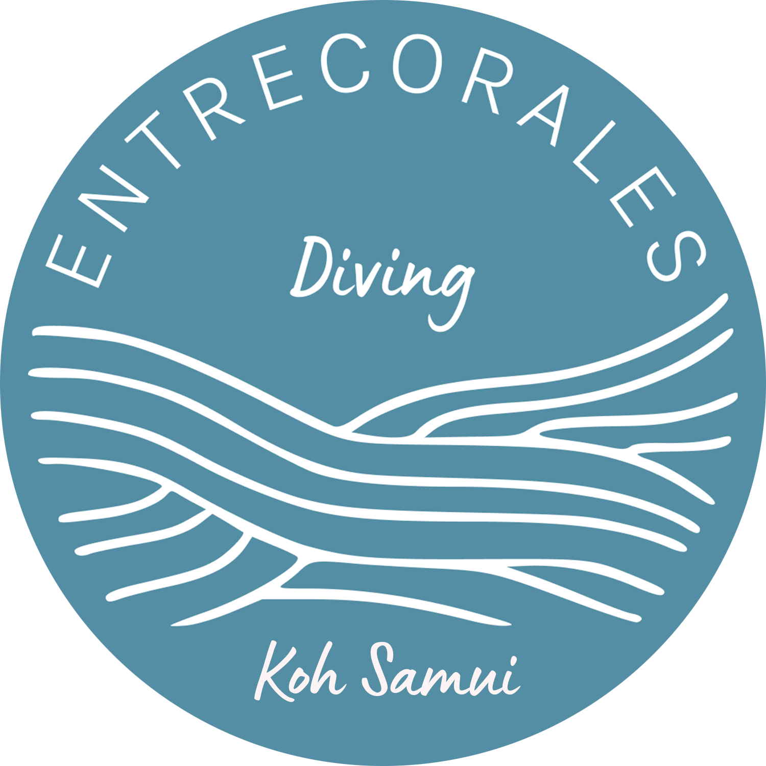 Entrecorales